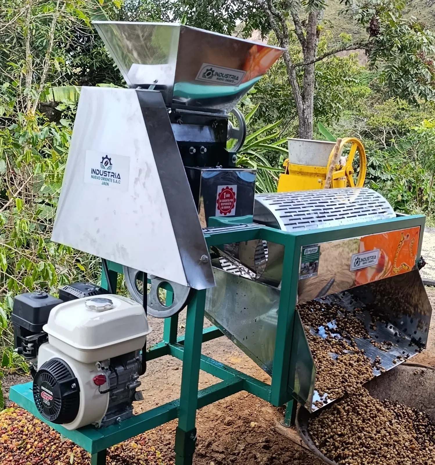 Despulpadora de café a motor